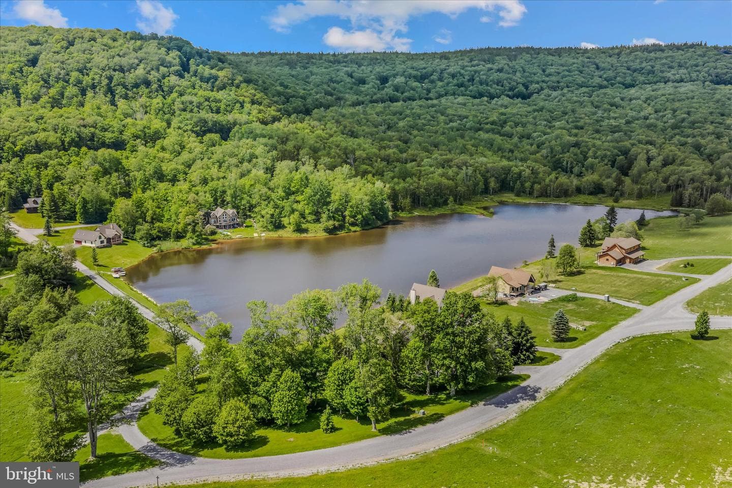 344 Mallow Lake Drive photo 81