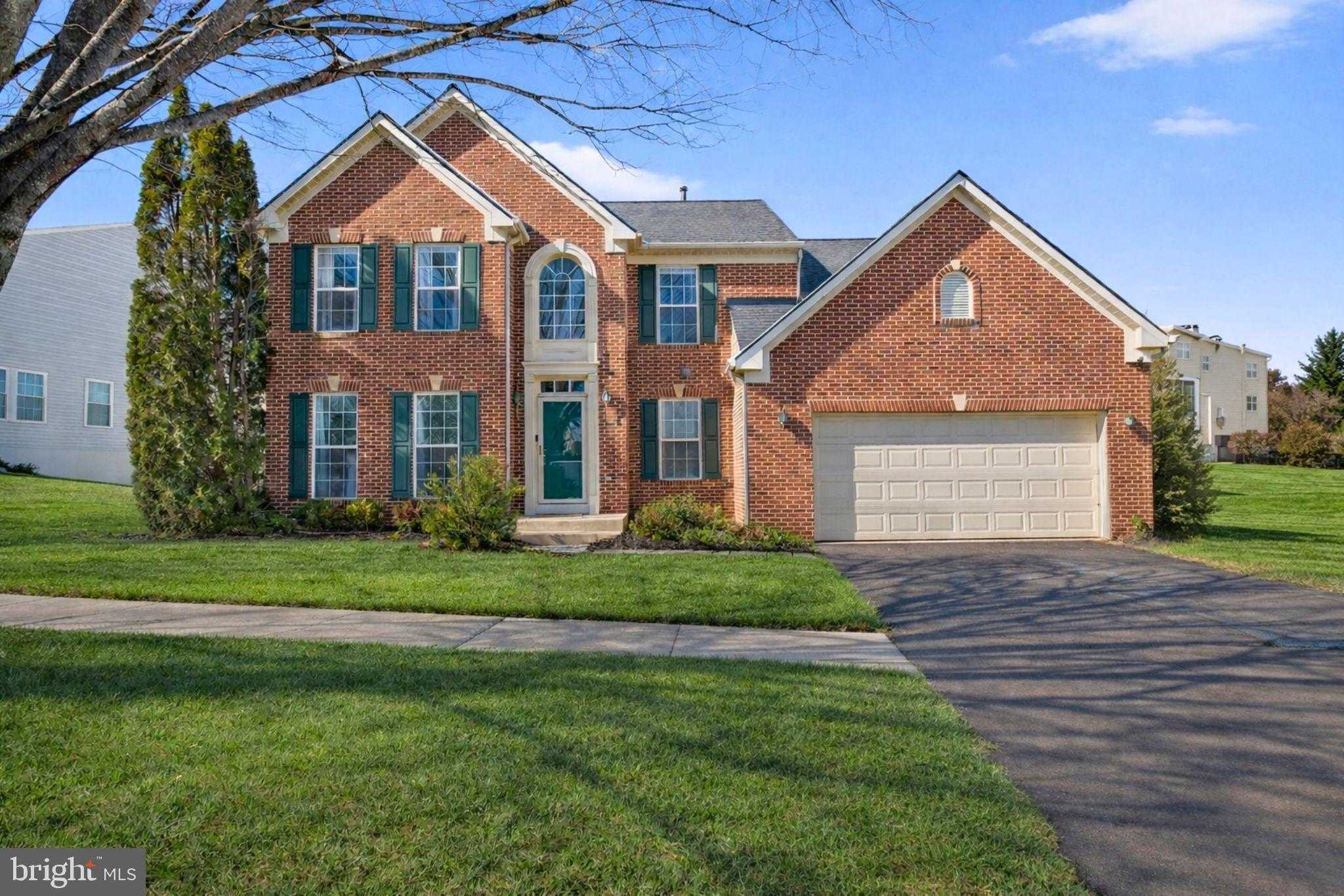 21310 Purple Aster CT