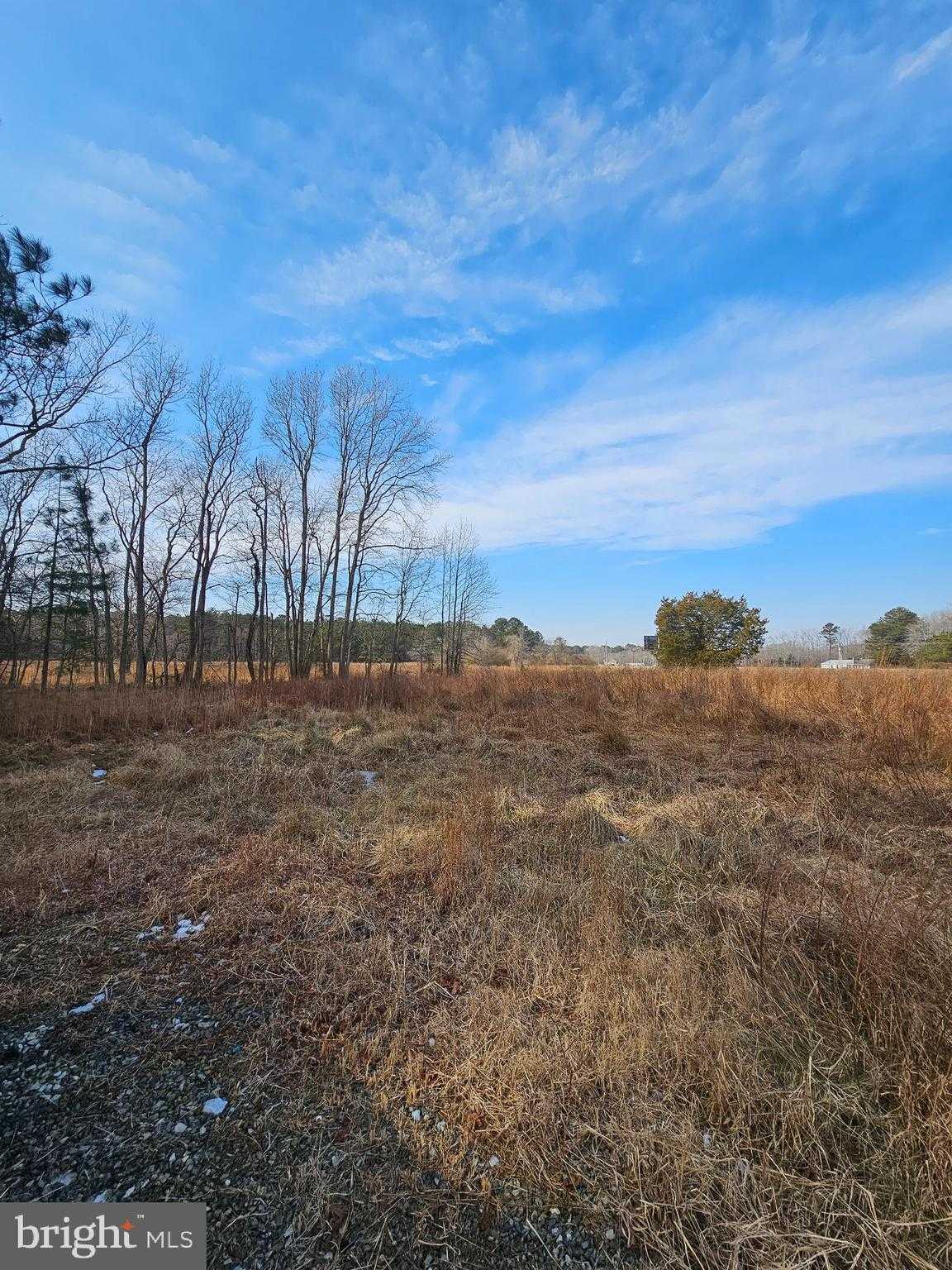 8758 Grill Ln photo 4