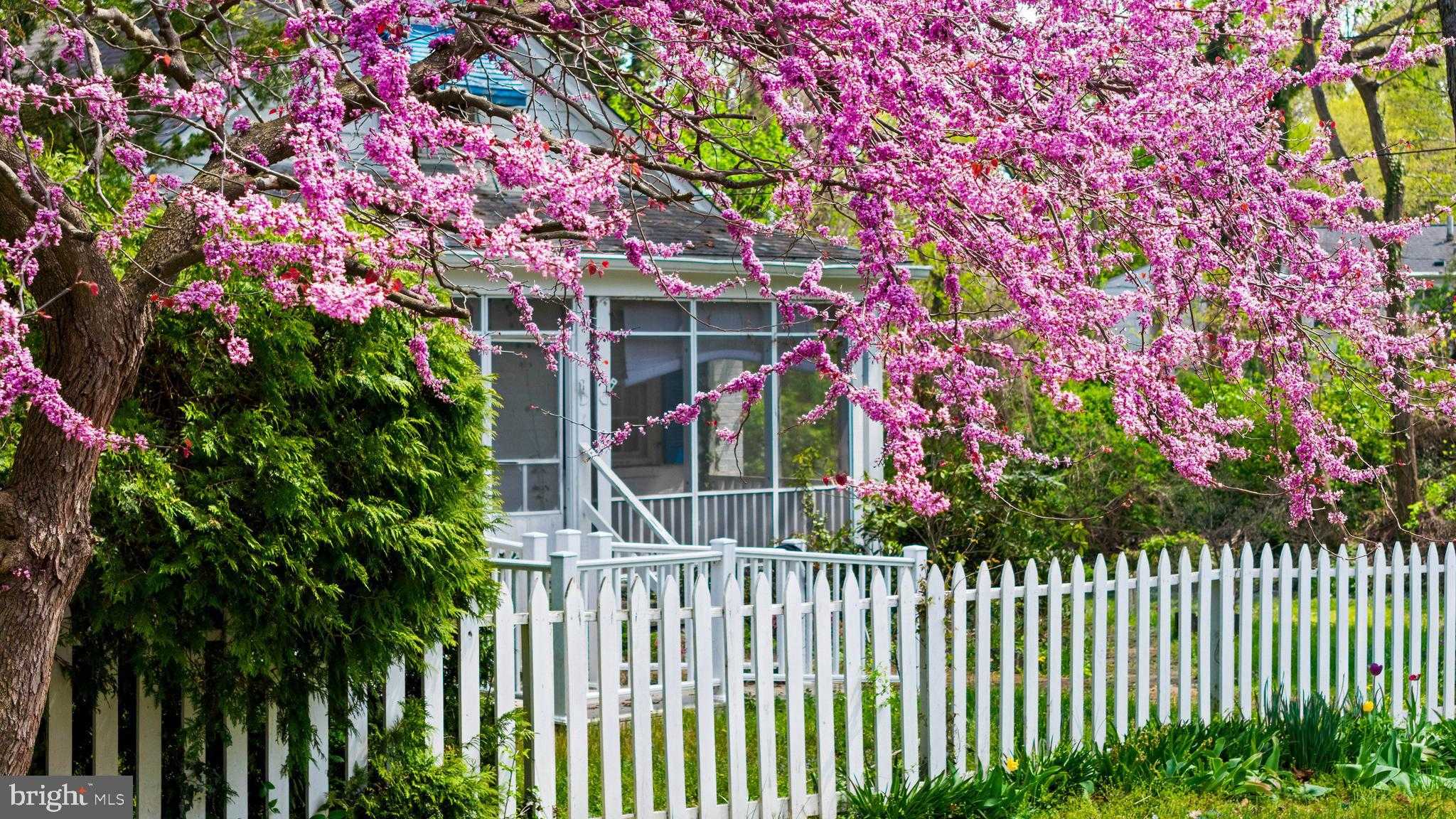 4 Shiley St, Annapolis