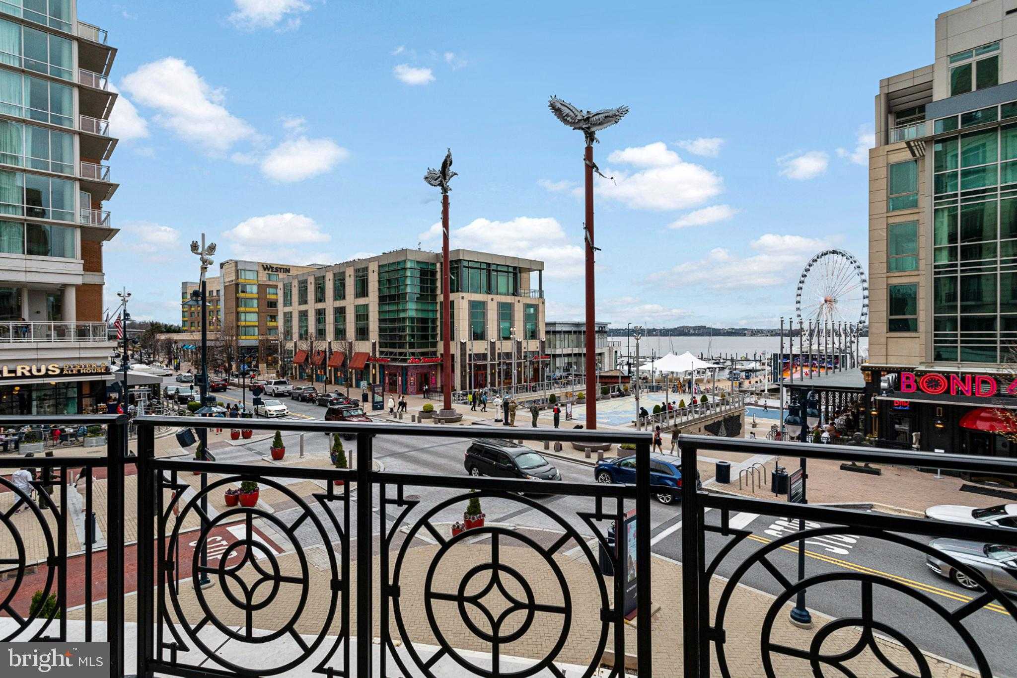 155 Potomac Psge Unit 511 photo 47