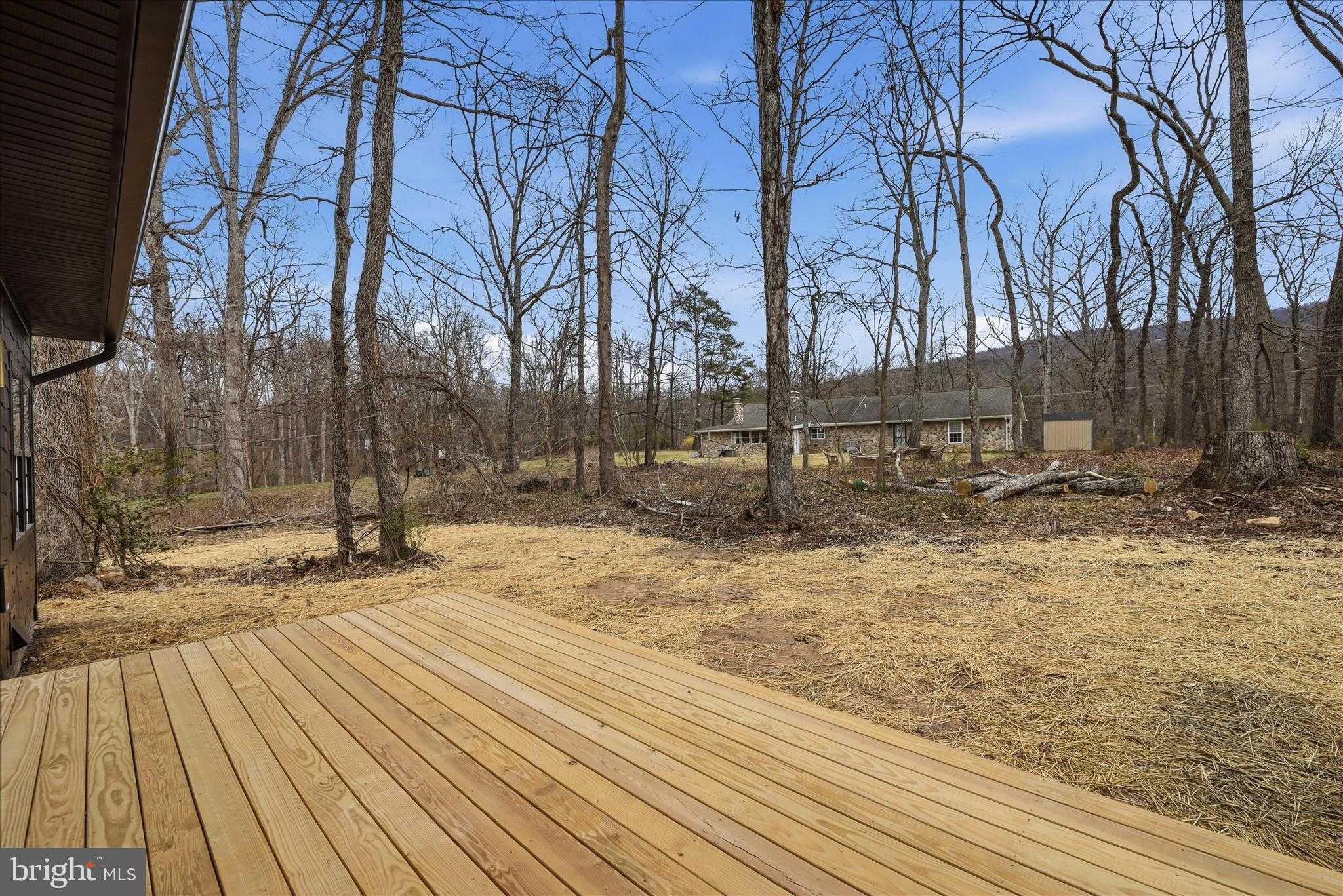50 Winona Cir photo 34