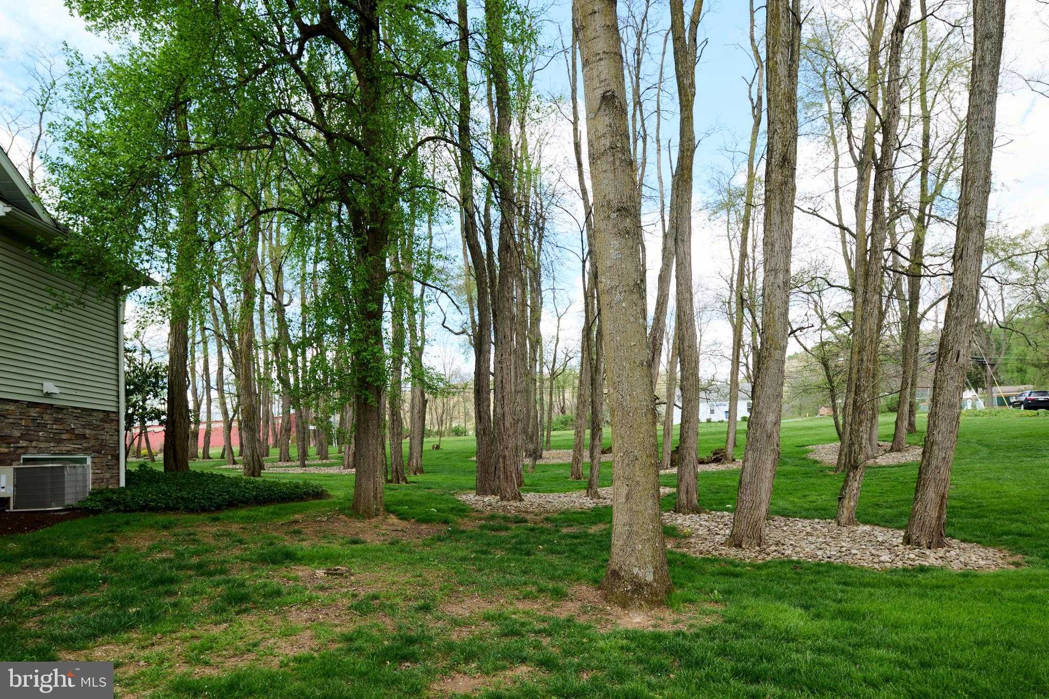 2890 Halfmoon Valley Rd photo 97