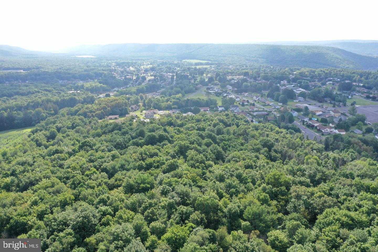 Schuylkill Ave photo 4