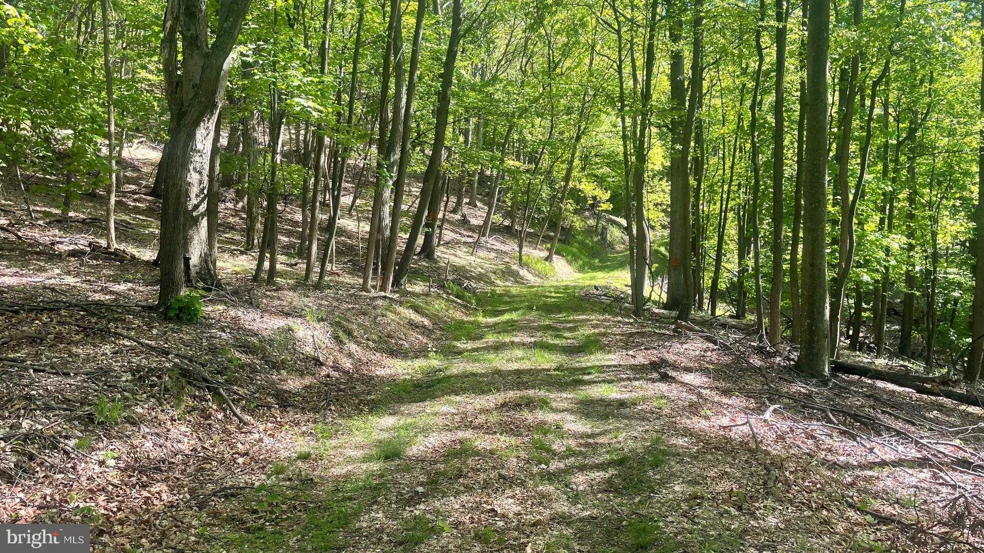 68 Russeldale Rd photo 24