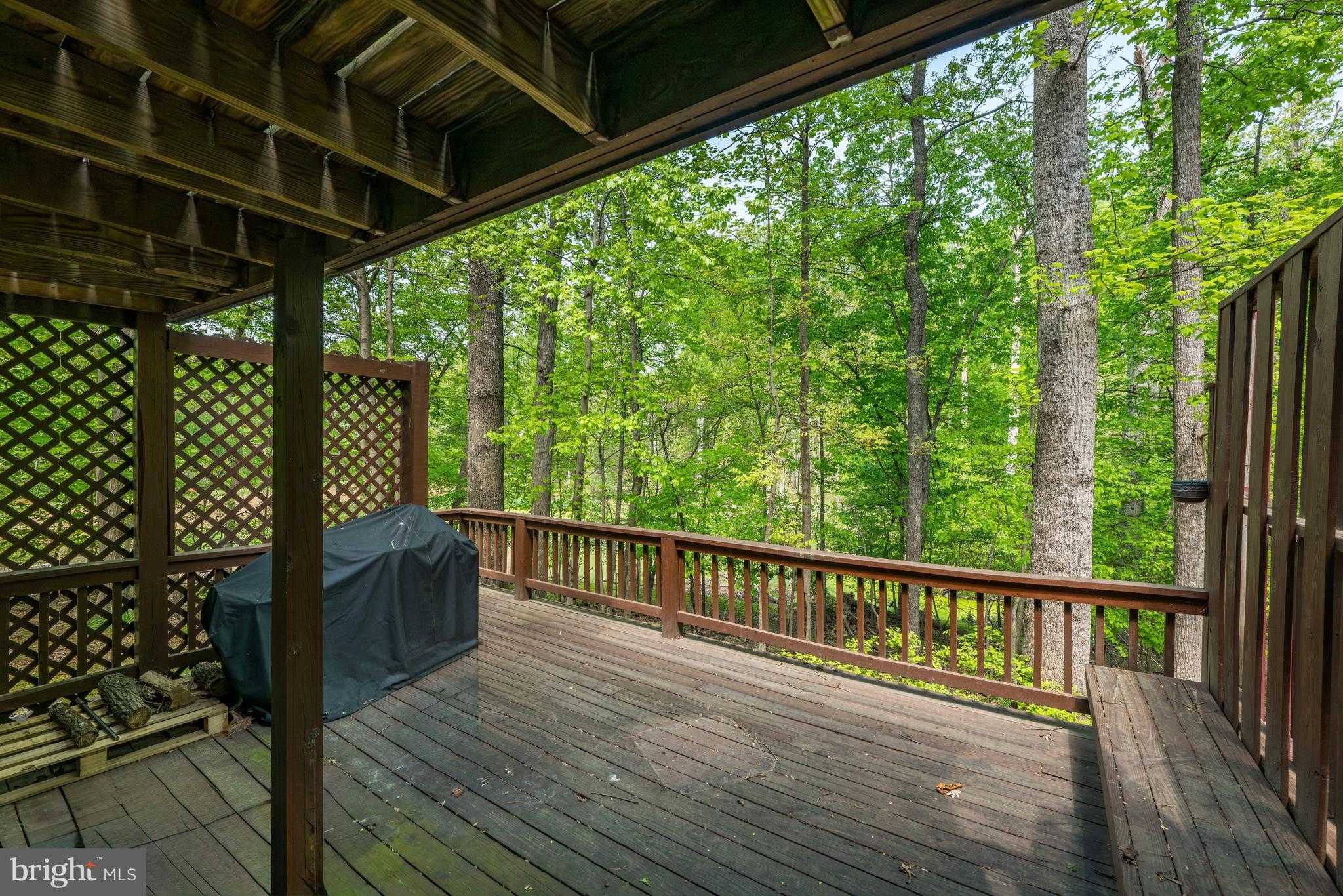 14318 Rich Branch Dr photo 19