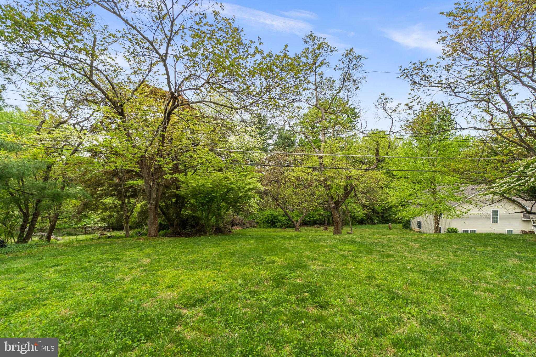 22 Fitzhugh Ave photo 11