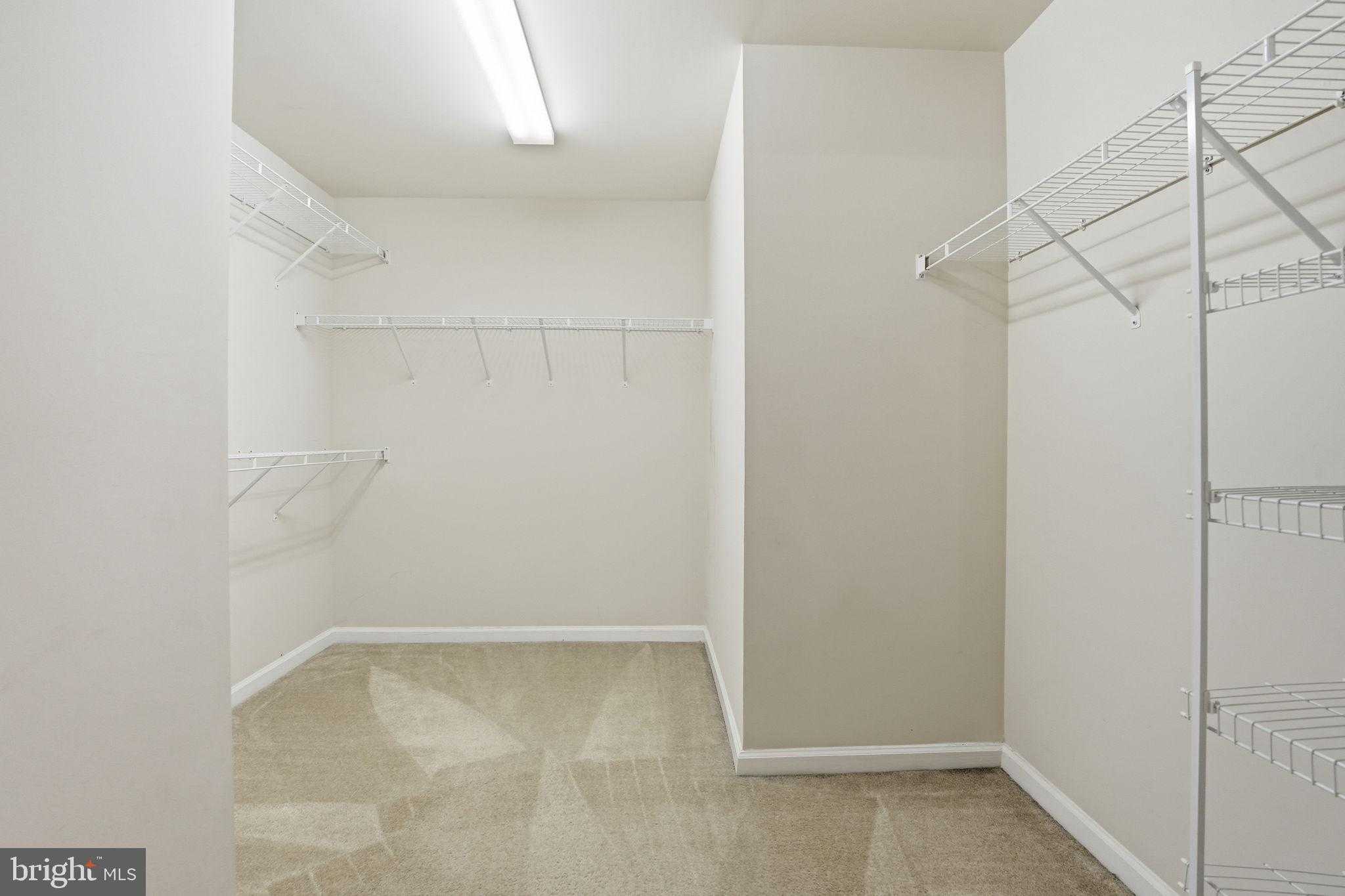 2951 Finsbury Pl photo 34