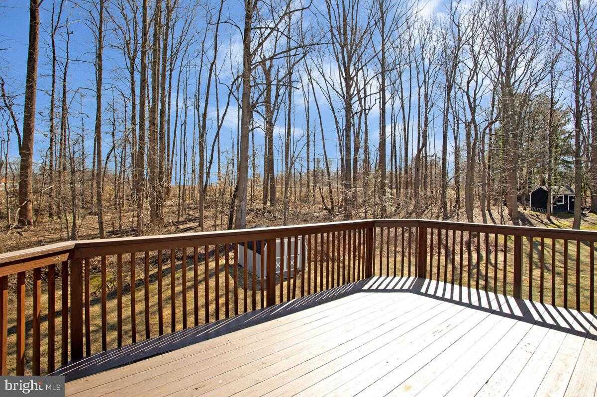 7404 Havre Turn photo 41