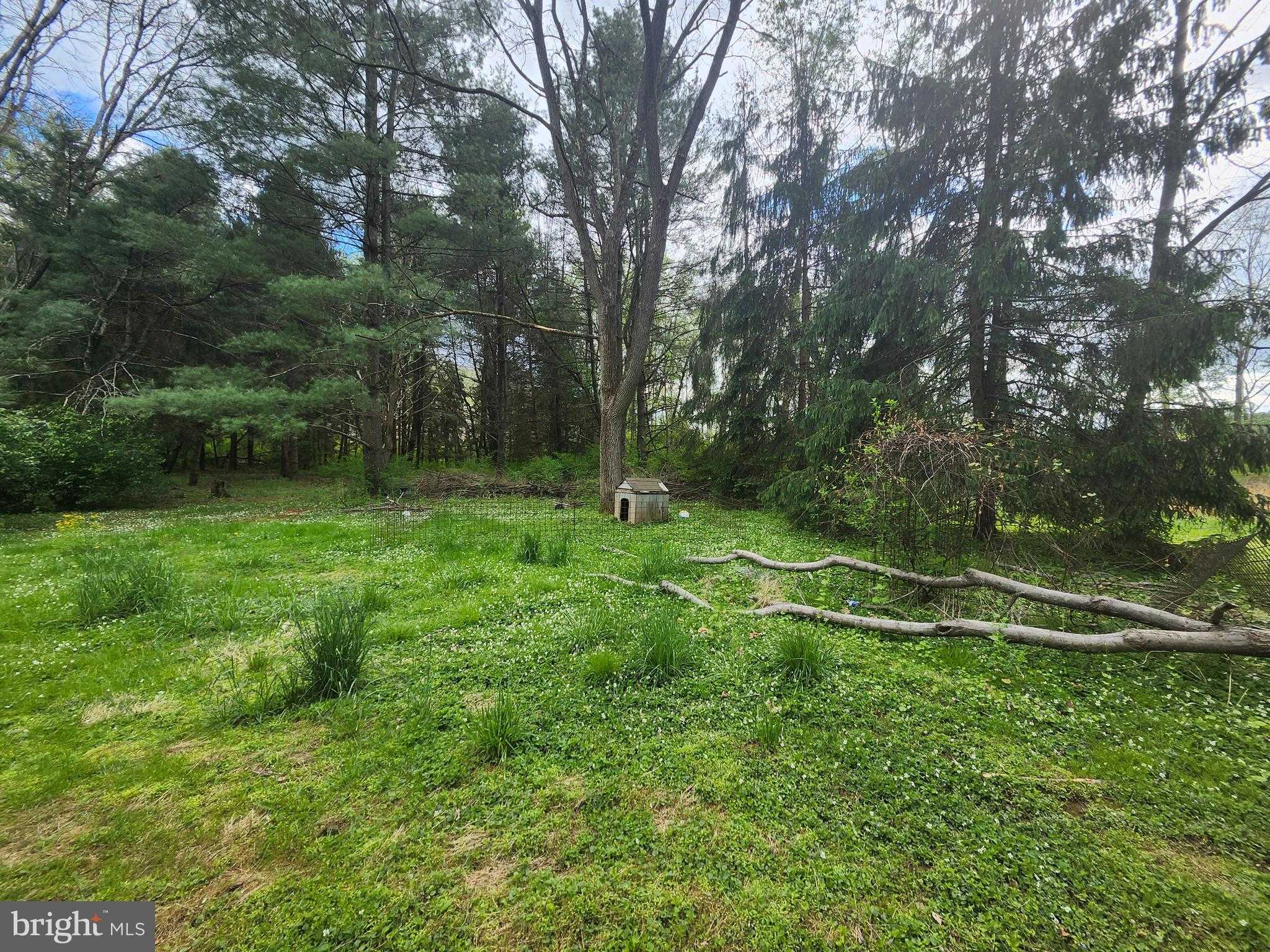 154 Journeys End Ln # 158 photo 18