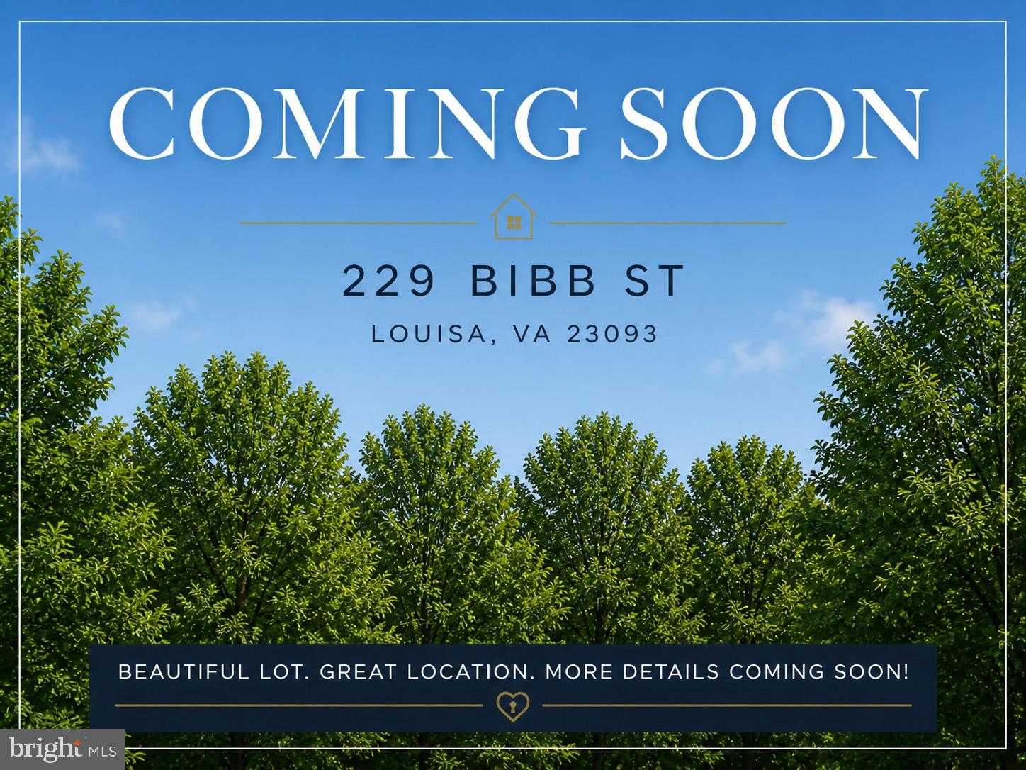 229 Bibb St photo 1