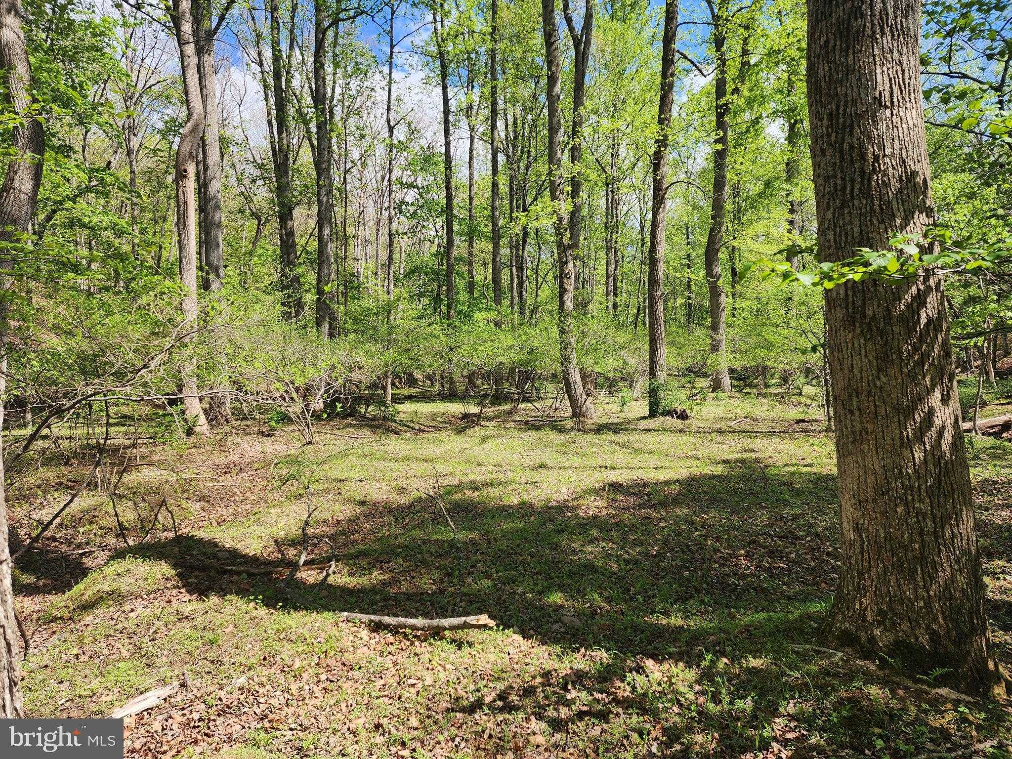 3 Pine Grove Rd photo 18