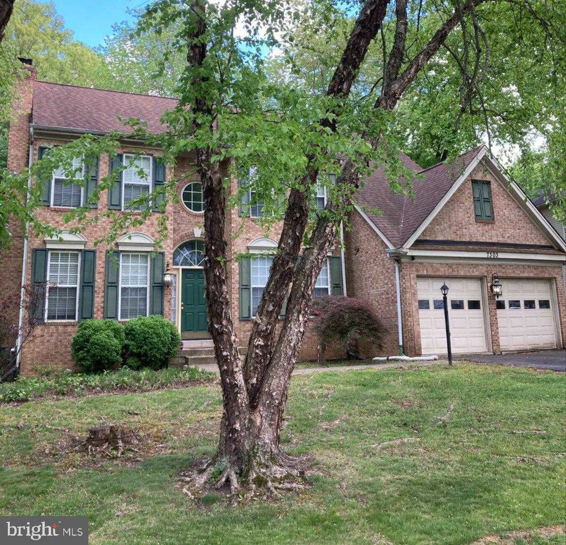 7303 Quantum Leap Ln photo 2