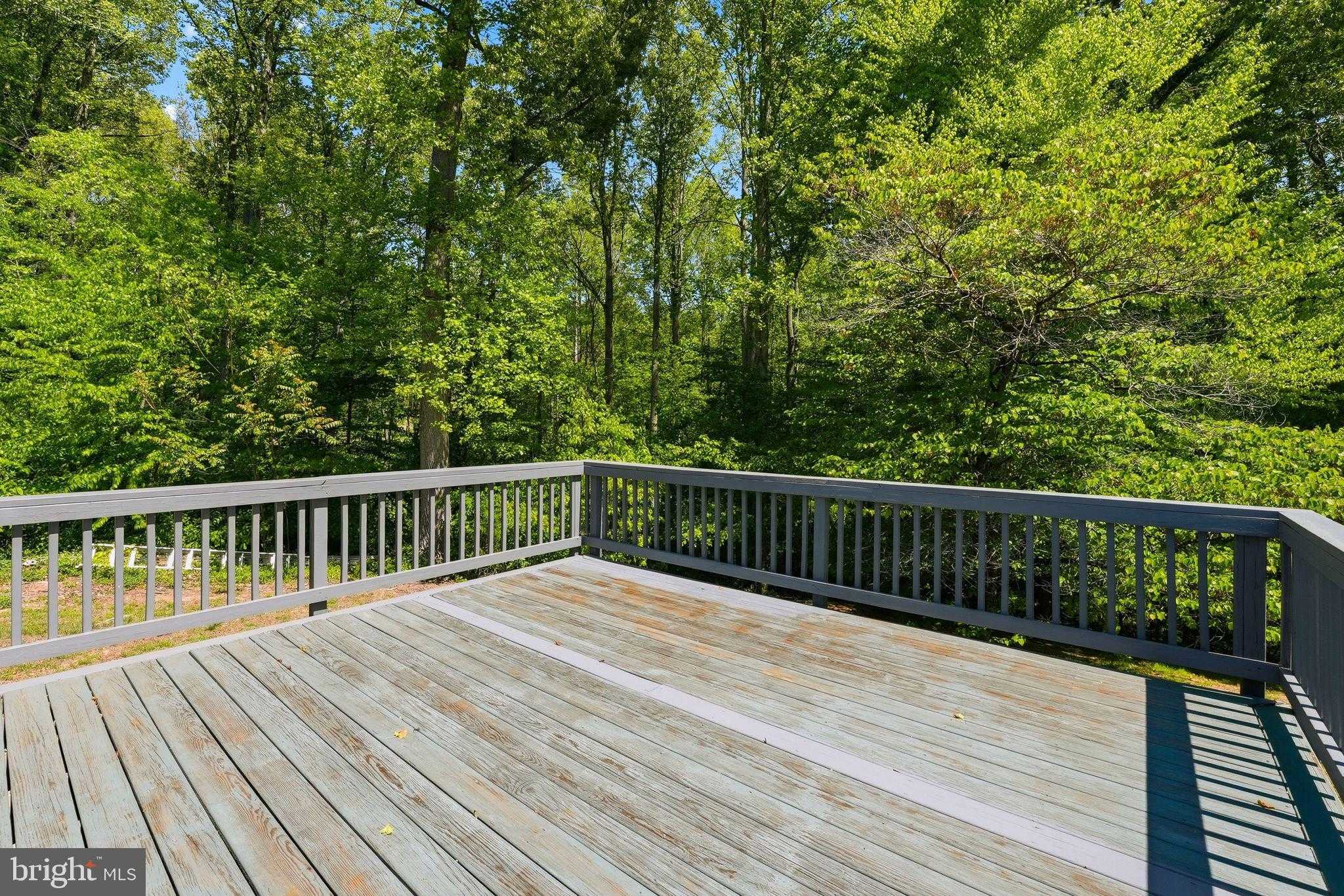 11057 Eggbornsville Rd photo 35
