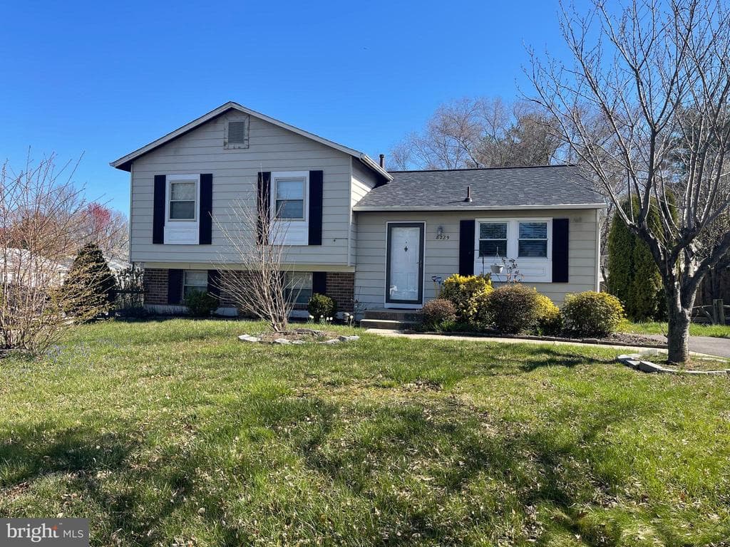 8229 Mountain Laurel Lane photo 1