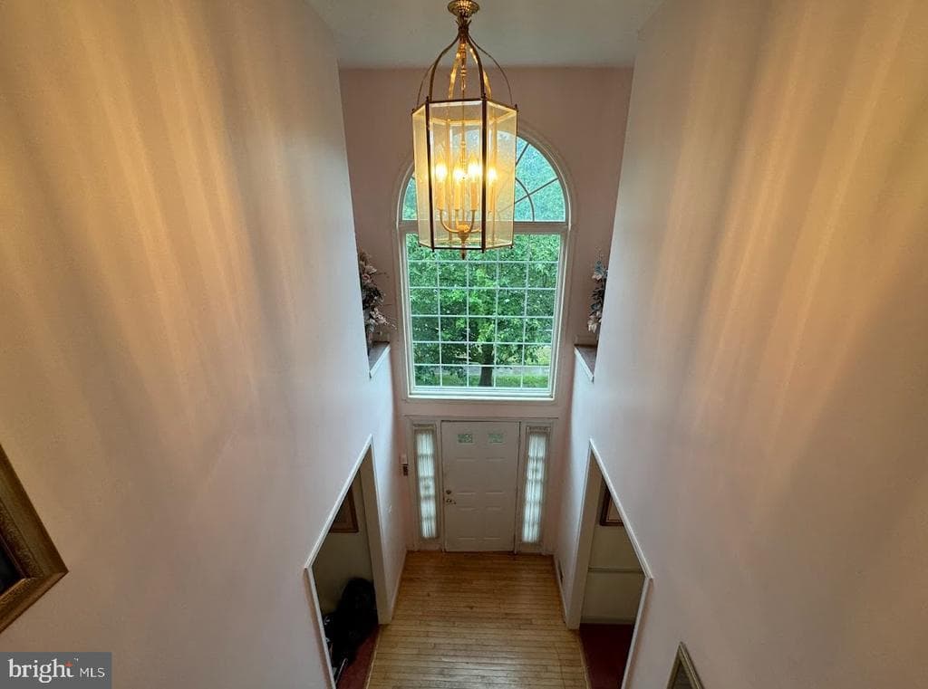 1803 Aragona Boulevard photo 1