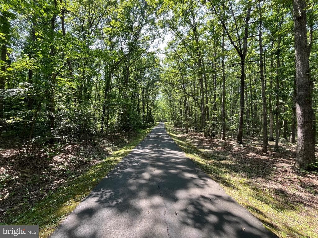 11459 Bristersburg Road photo 1