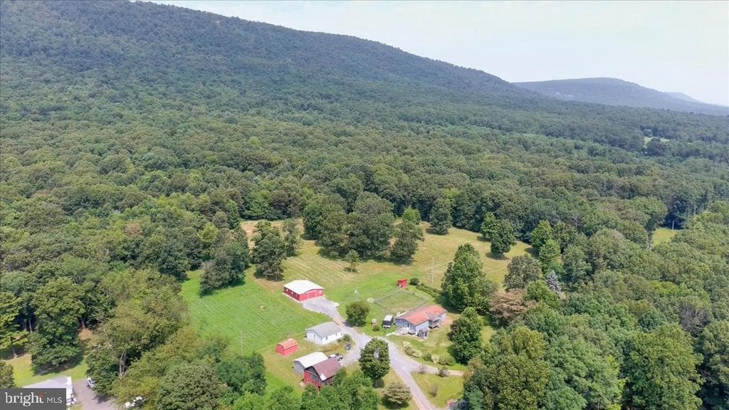 7067 Black Bear Road photo 1
