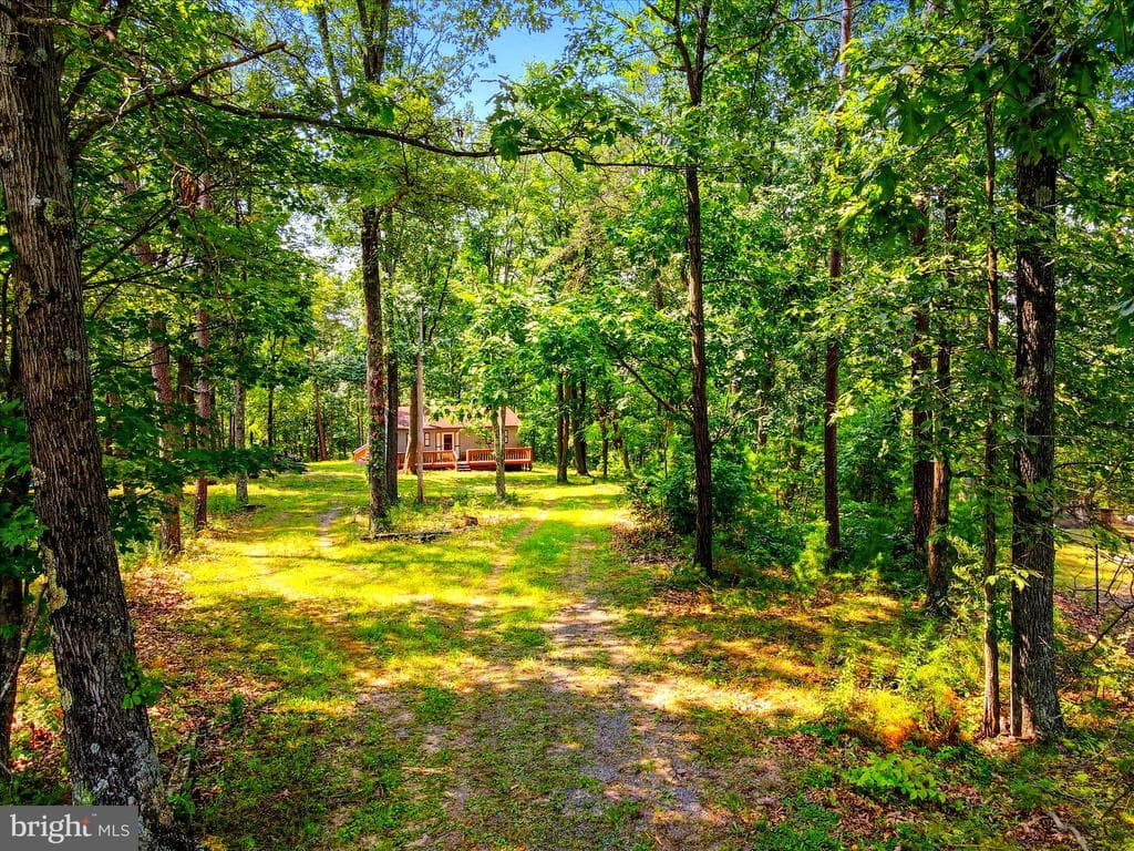 1306 Crest Haven Road photo 1