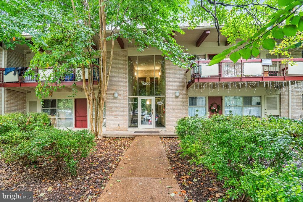 4309 Americana Drive #10 photo 1
