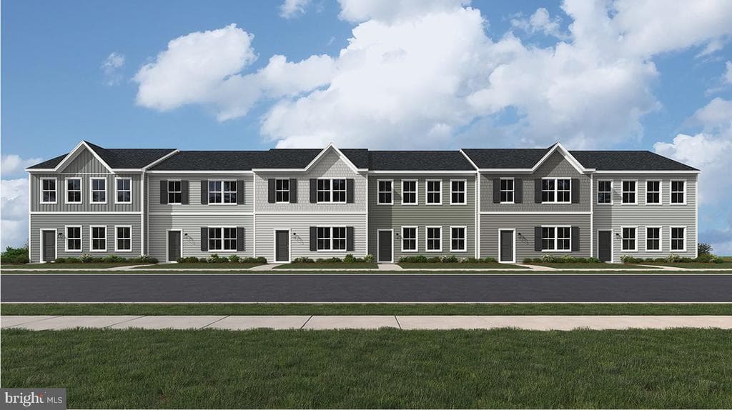 59 White Violet #lot1 Allegheny photo 1