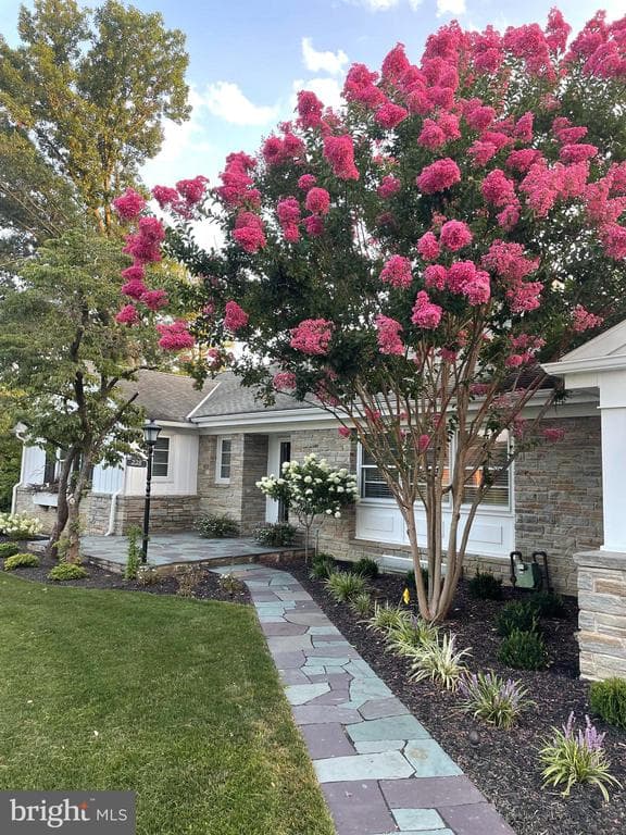 228 Clearview Road photo 1