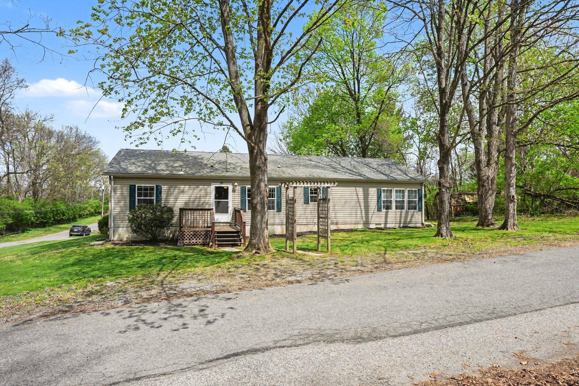 175 Cedar photo 1