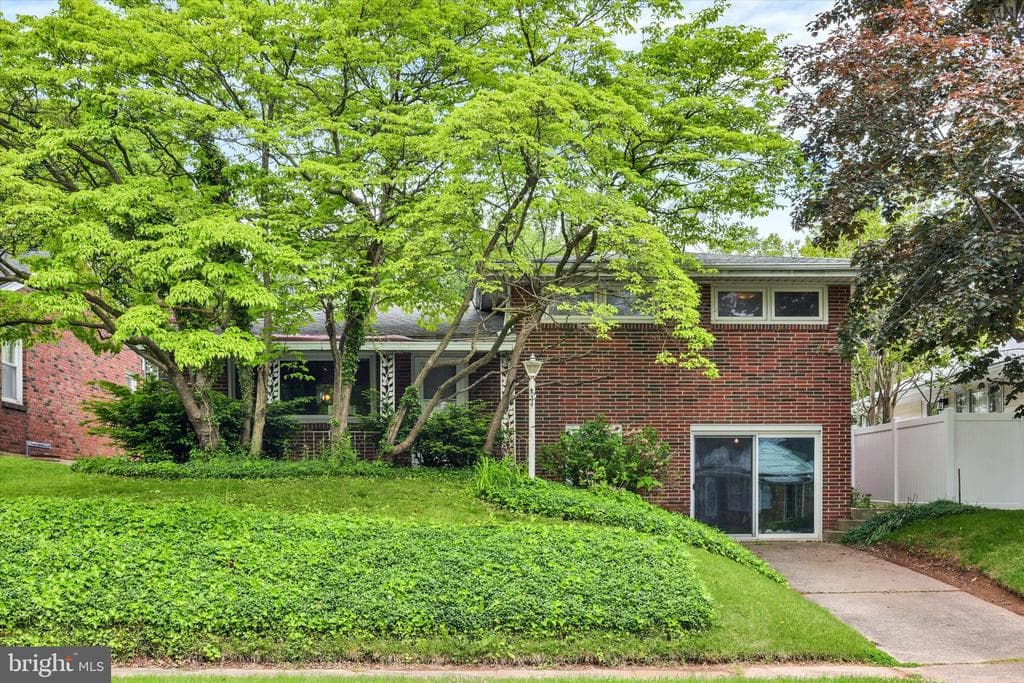 240 Walnut Street photo 1