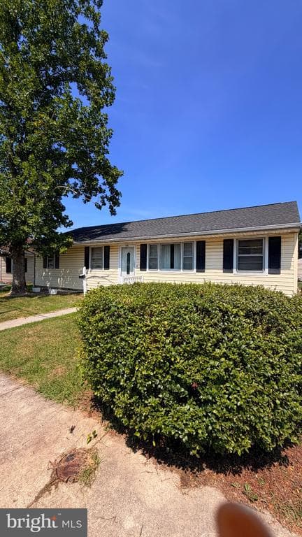 711 Rigby Avenue, Cambridge
