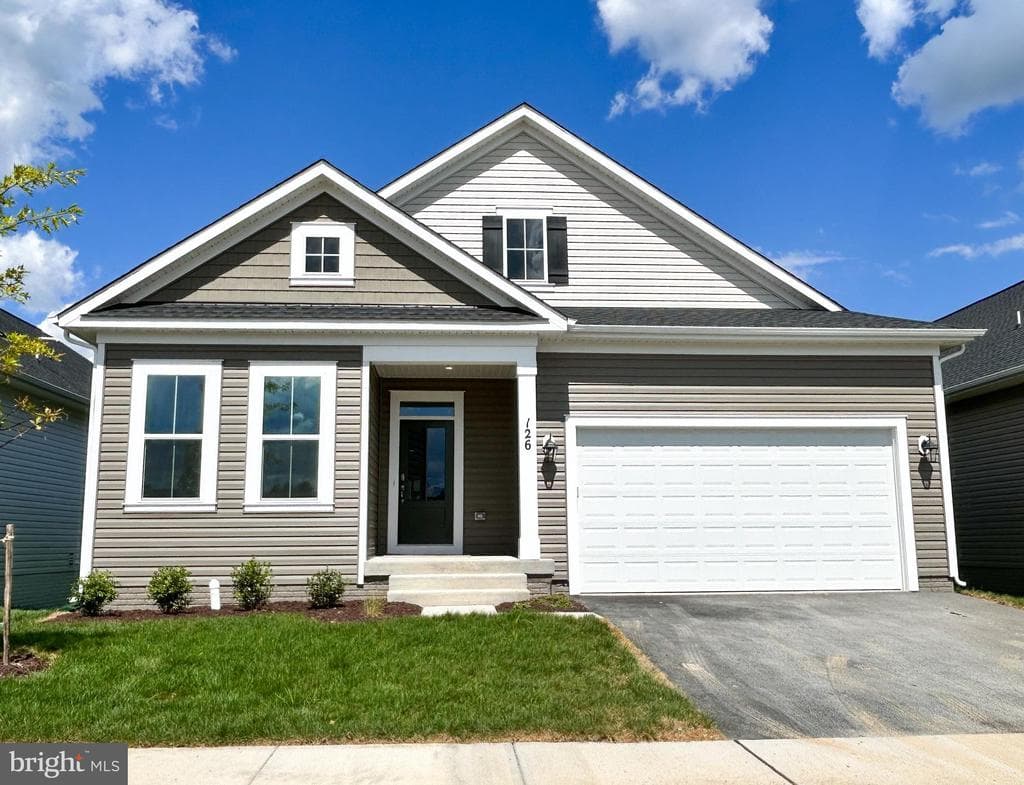 126 Wagtail photo 1