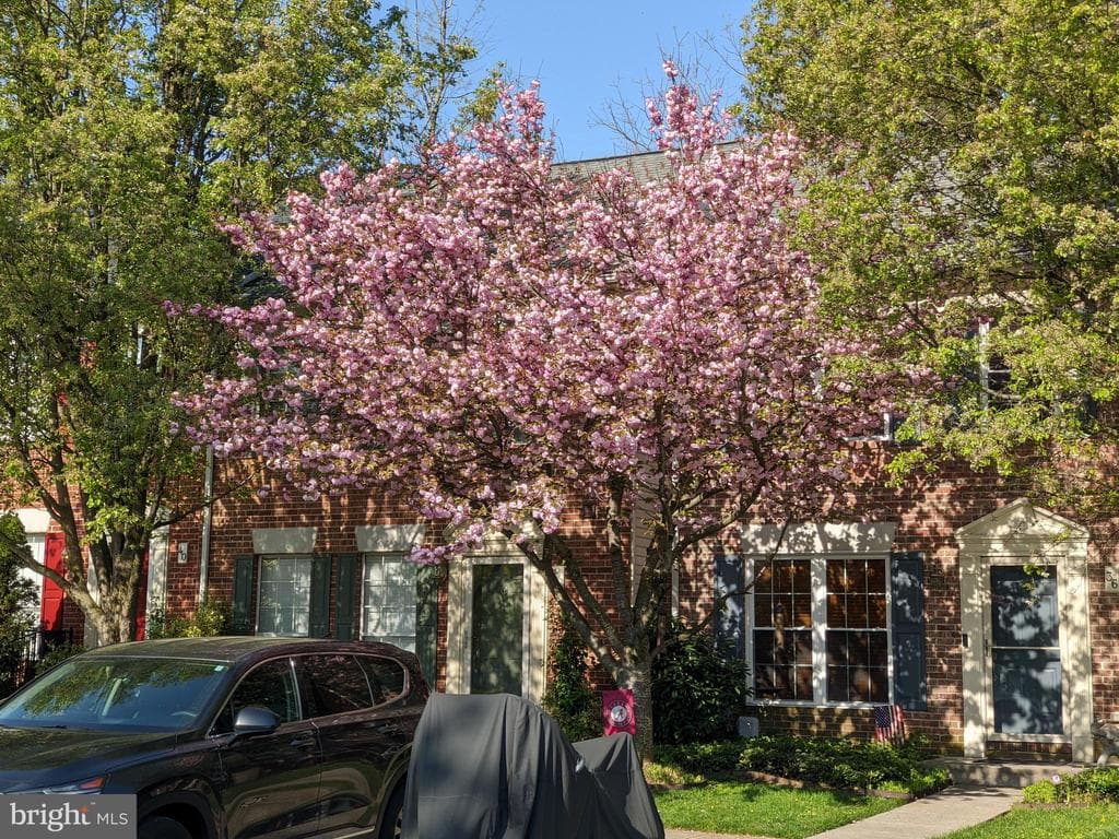 36 White Pine Court photo 1