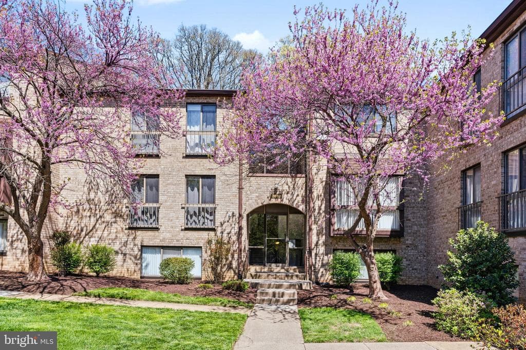 2032 Royal Fern Court #13/21a photo 1