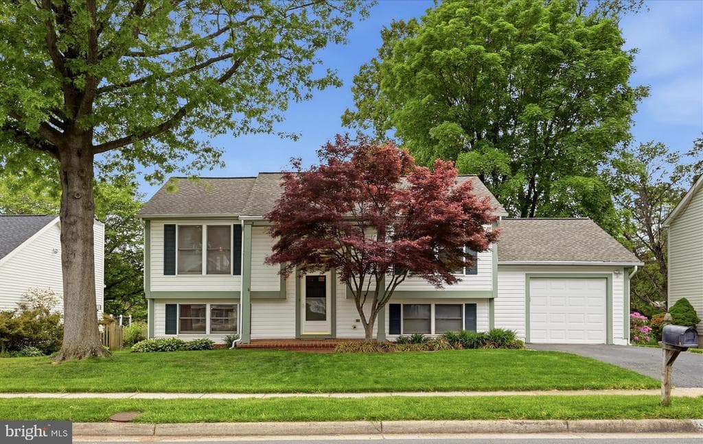 3824 Beech Down Drive photo 1