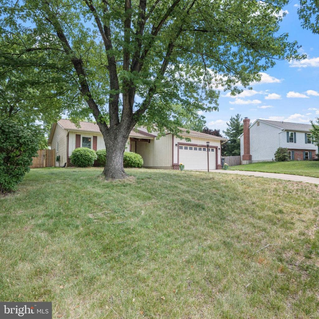 8871 Butternut Street photo 1