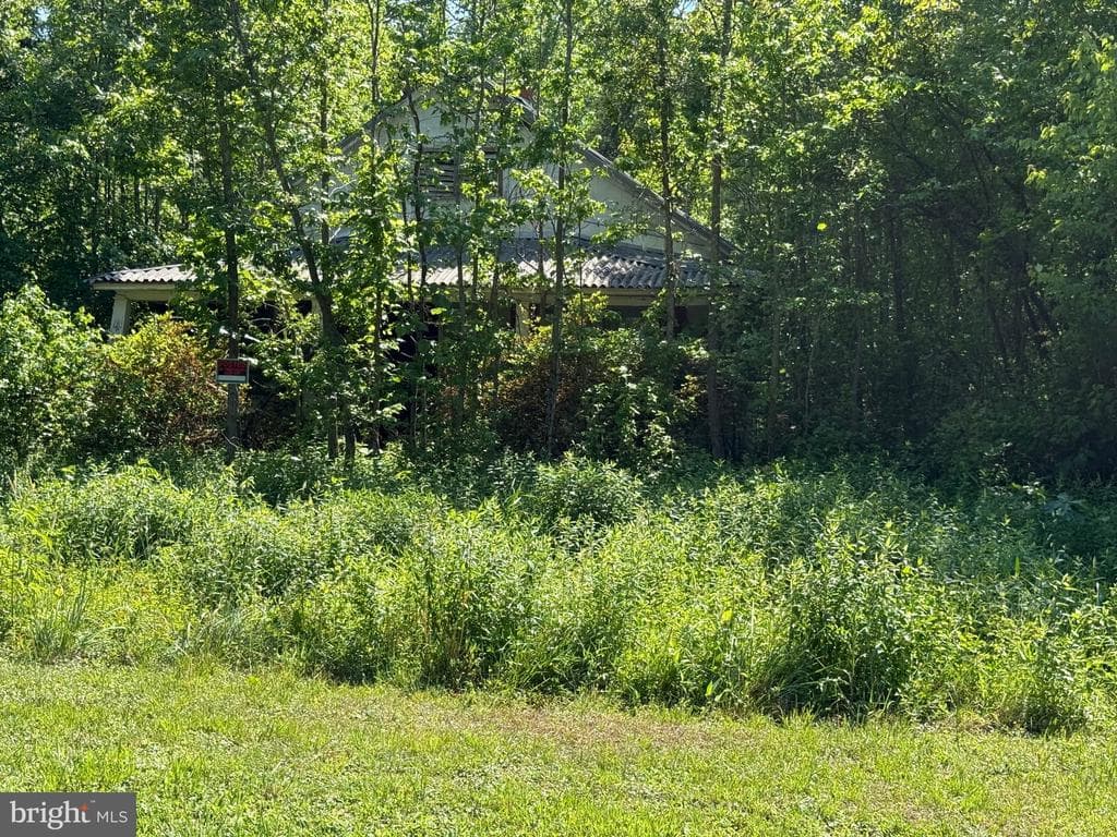 451 Hollywood Farm Road photo 1