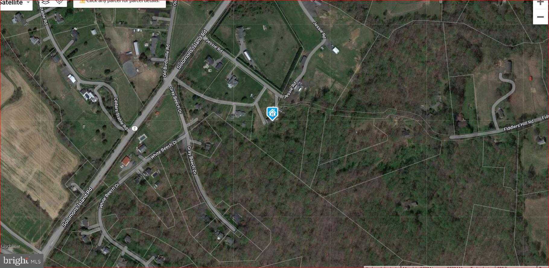 13 Jessie Rd photo 68