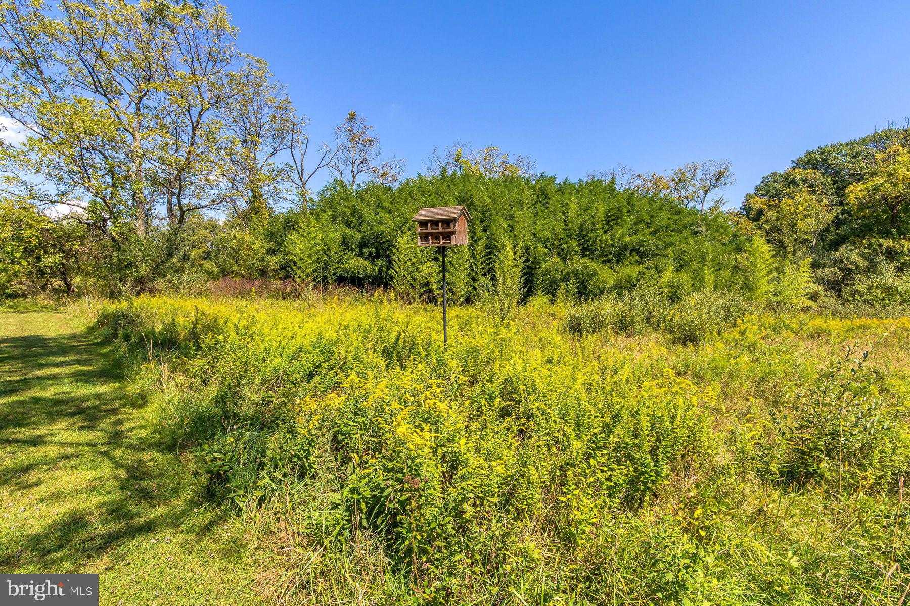 2511 Hickory Ln photo 52