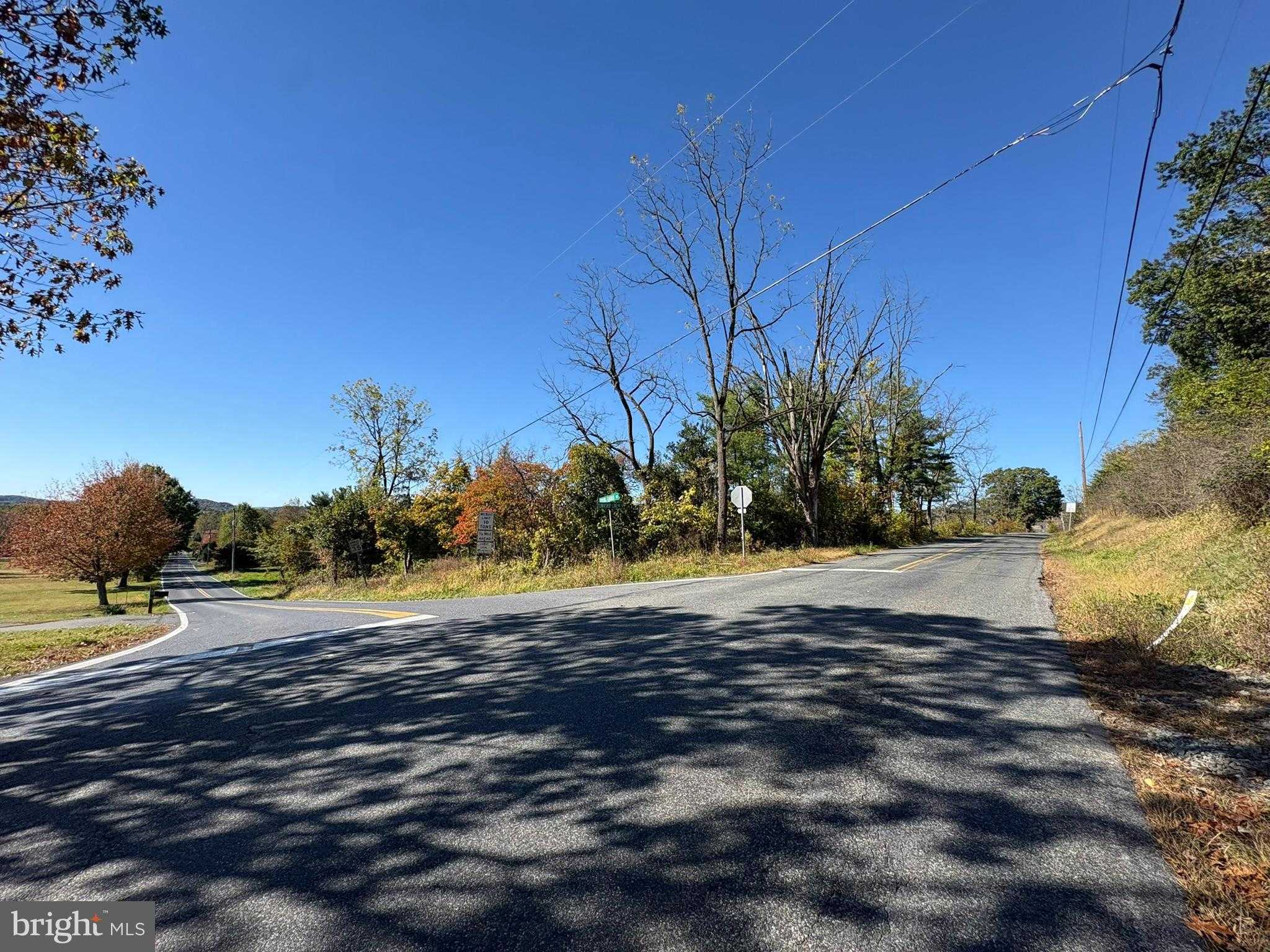 Spring Garden Dr photo 8