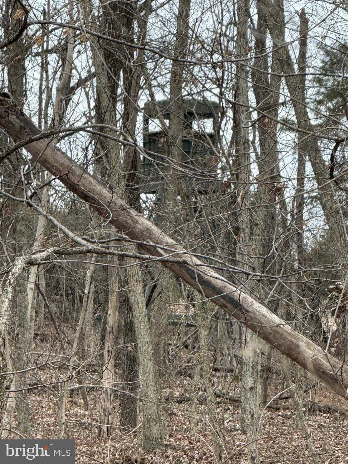 Nestle Quarry Rd photo 4