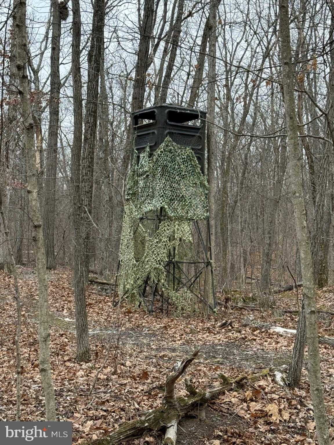 Nestle Quarry Rd photo 5