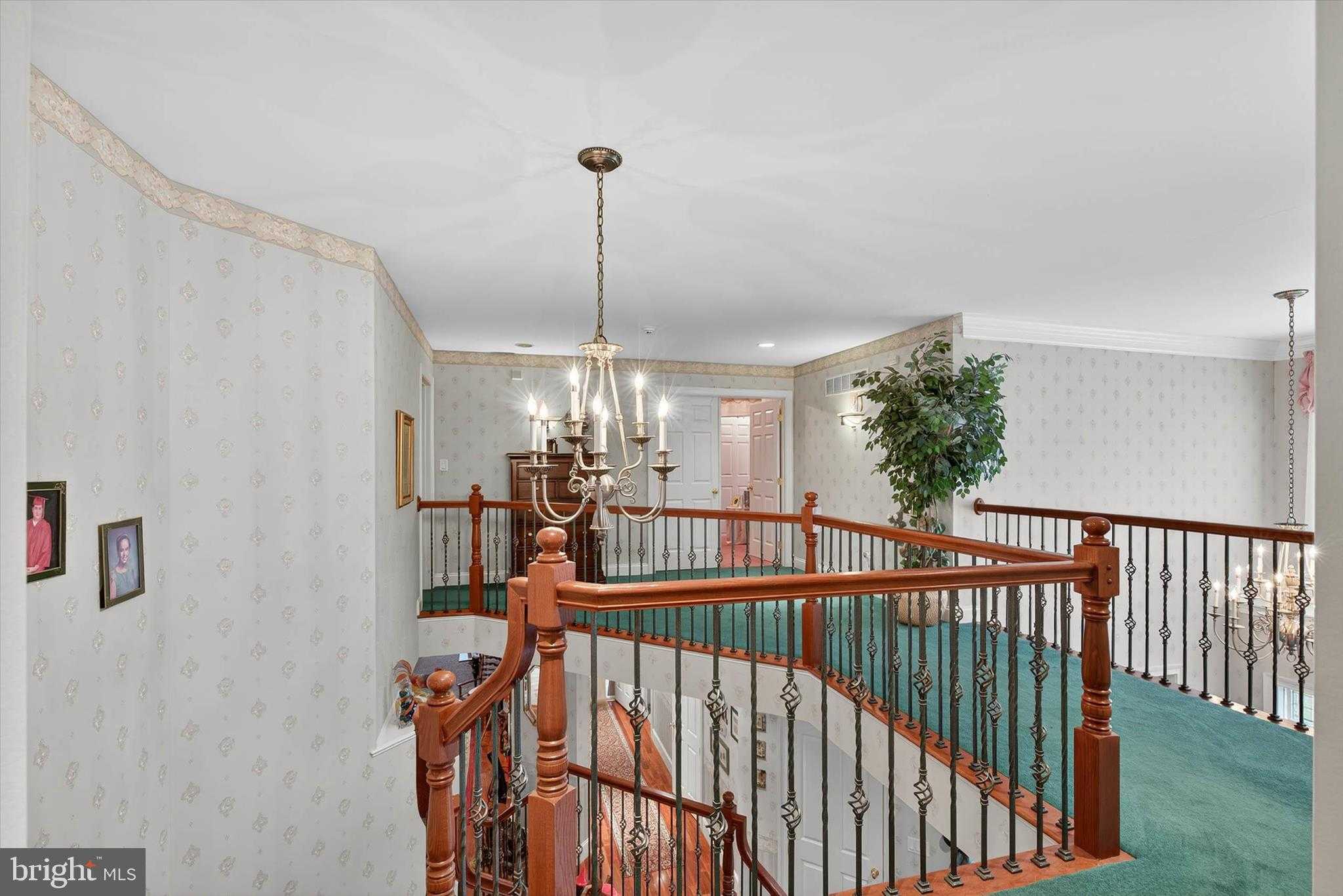 7 Woods Way photo 38