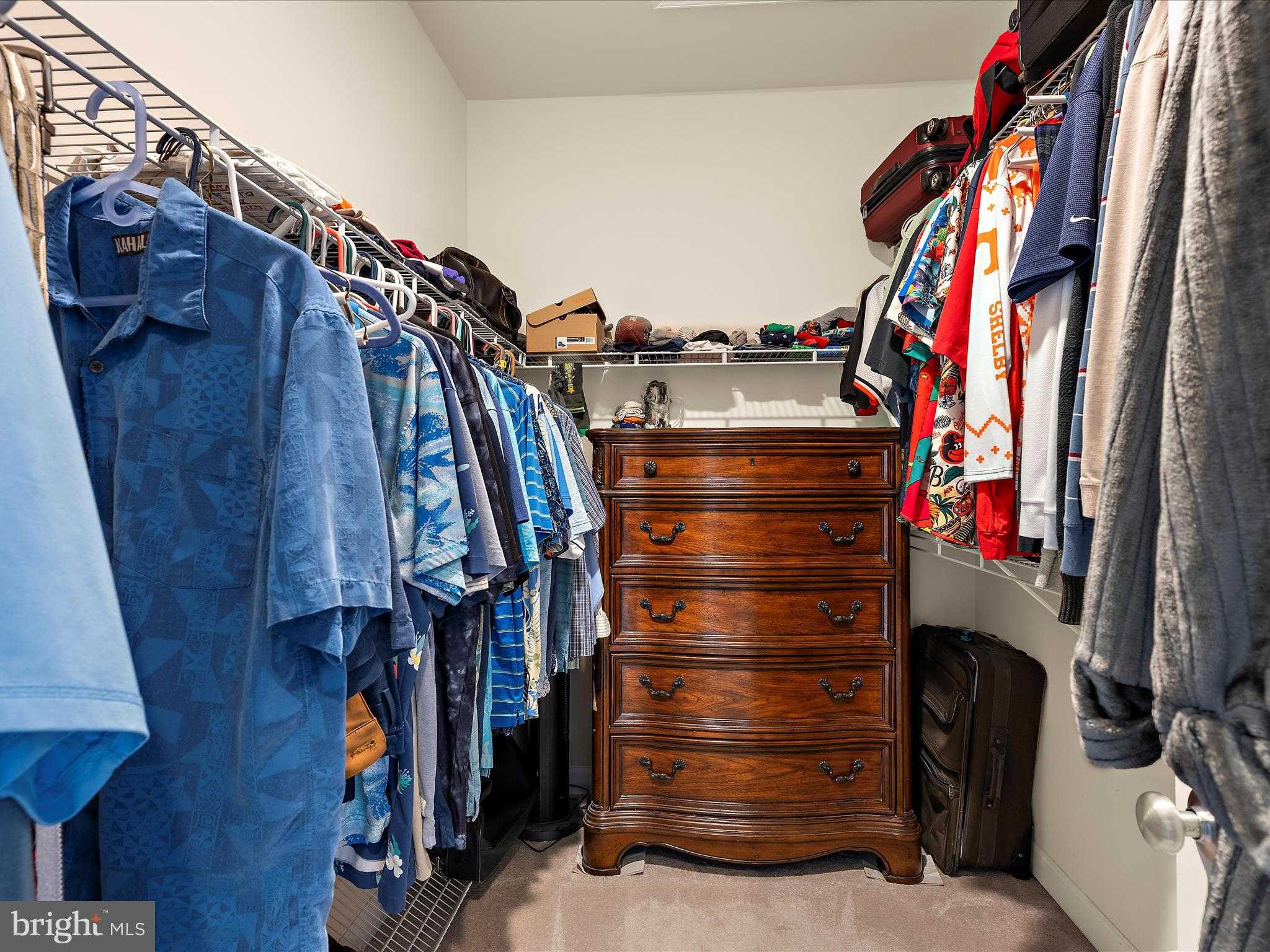 2791 Golden Aster Pl photo 34