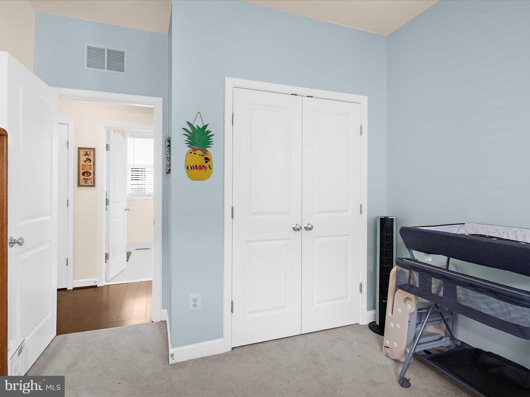 2791 Golden Aster Pl photo 47