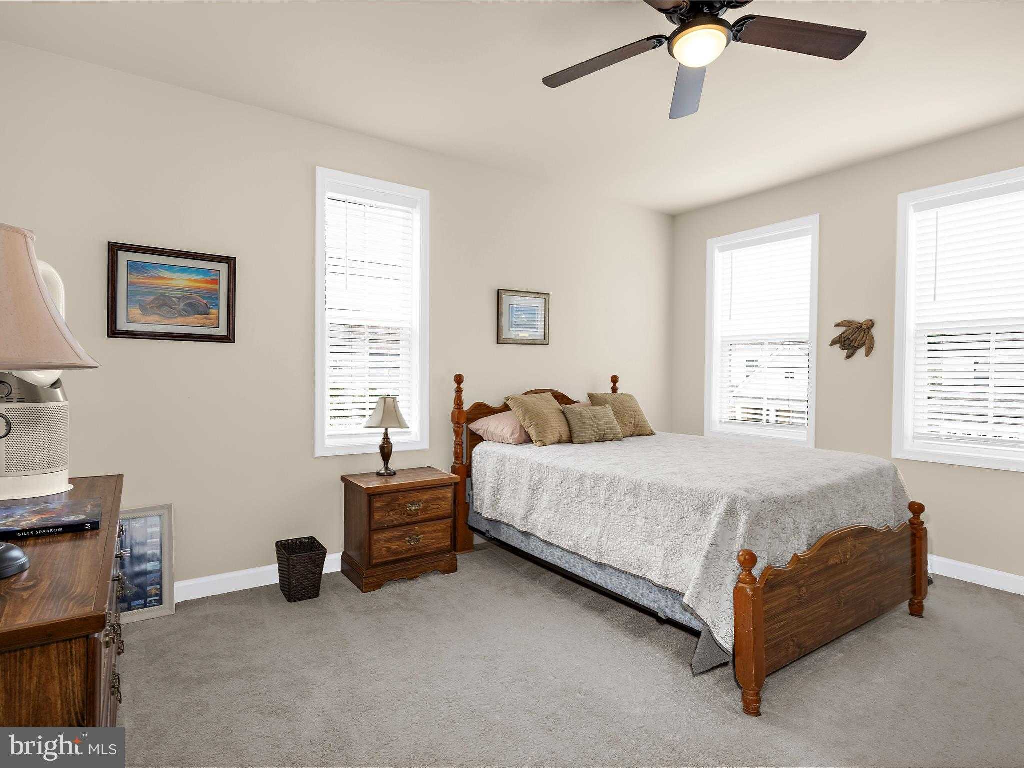 2791 Golden Aster Pl photo 50