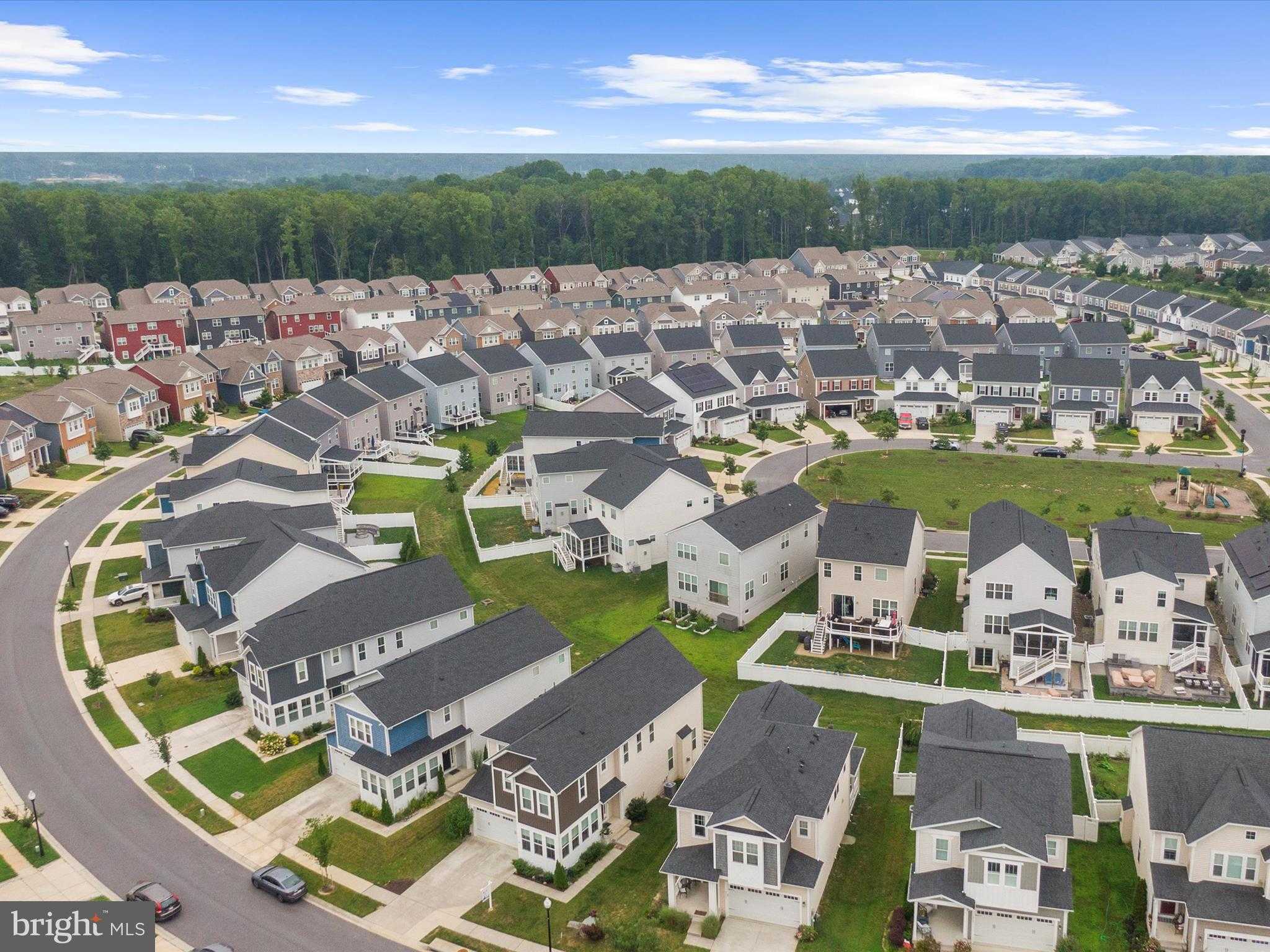 2791 Golden Aster Pl photo 73