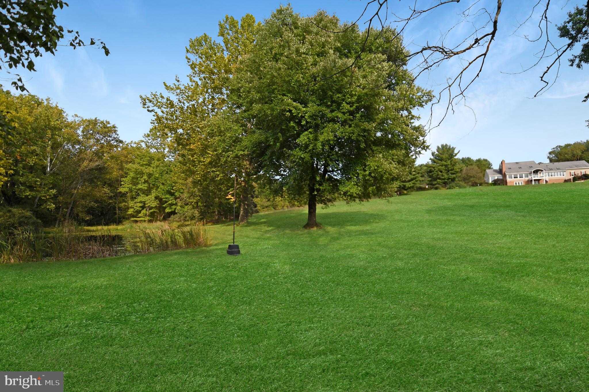 1402 Thurston Rd photo 6