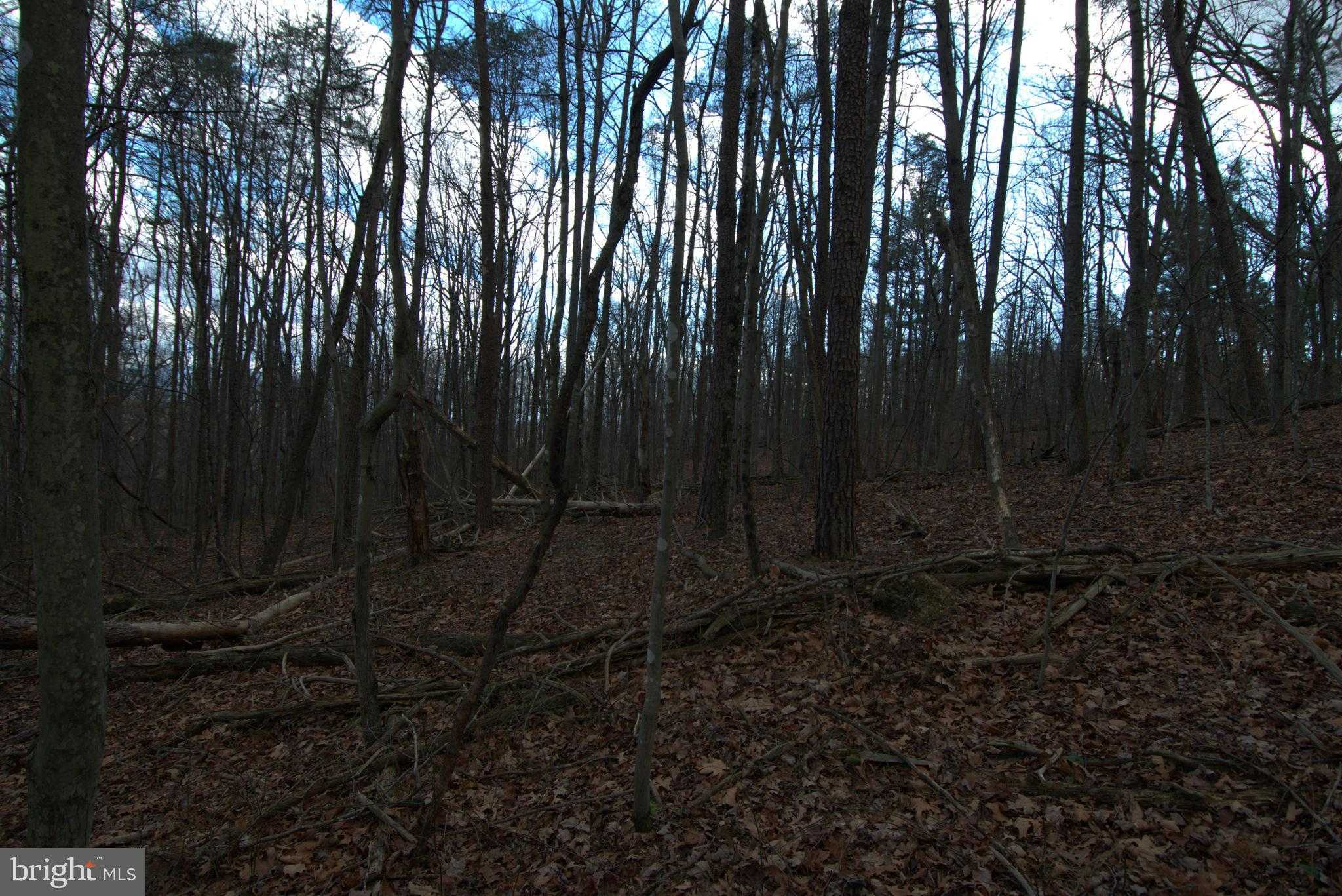 50 3 Mile Bank Ln photo 13