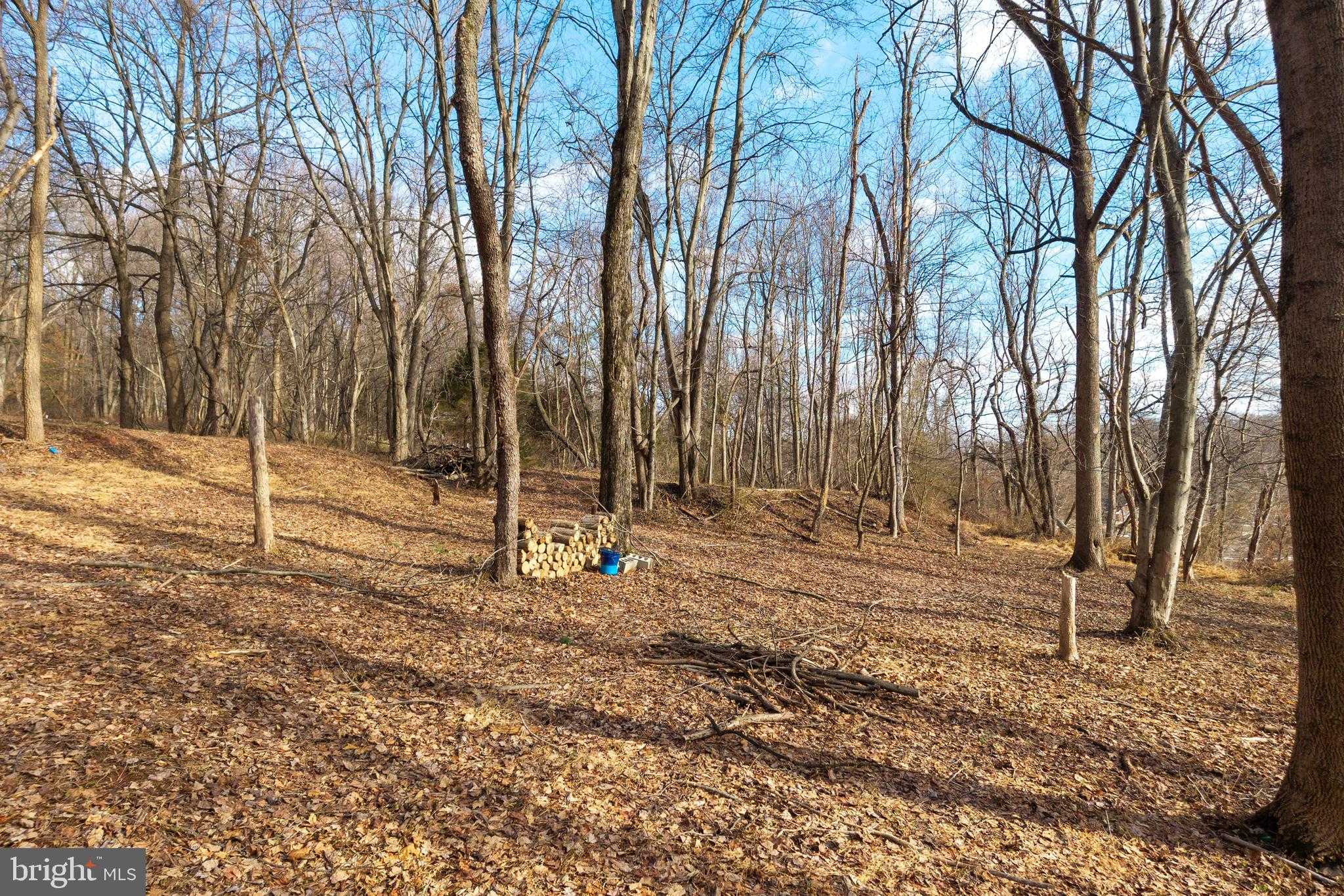 1615 Saint Peters Rd photo 30