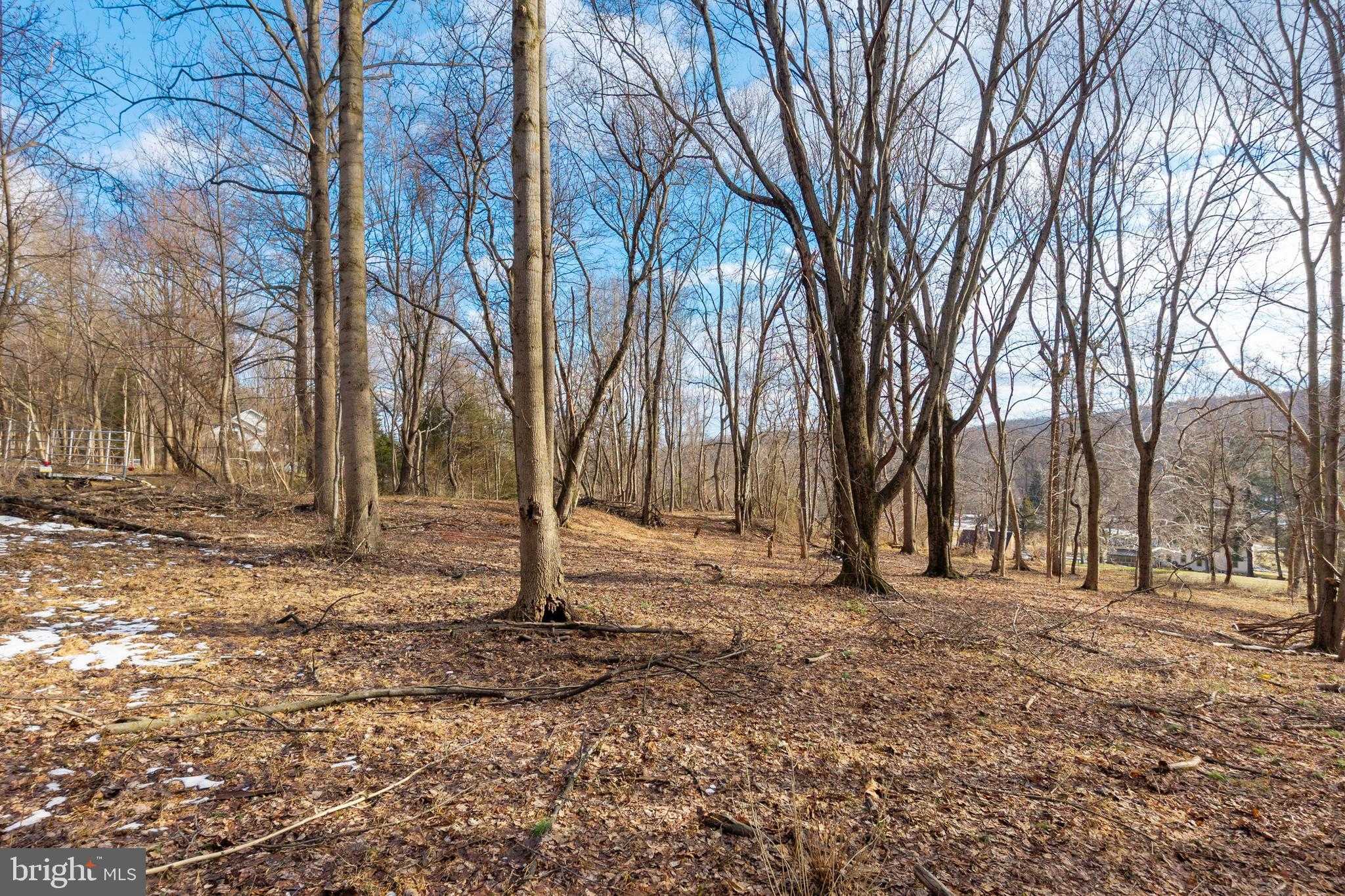 1615 Saint Peters Rd photo 31