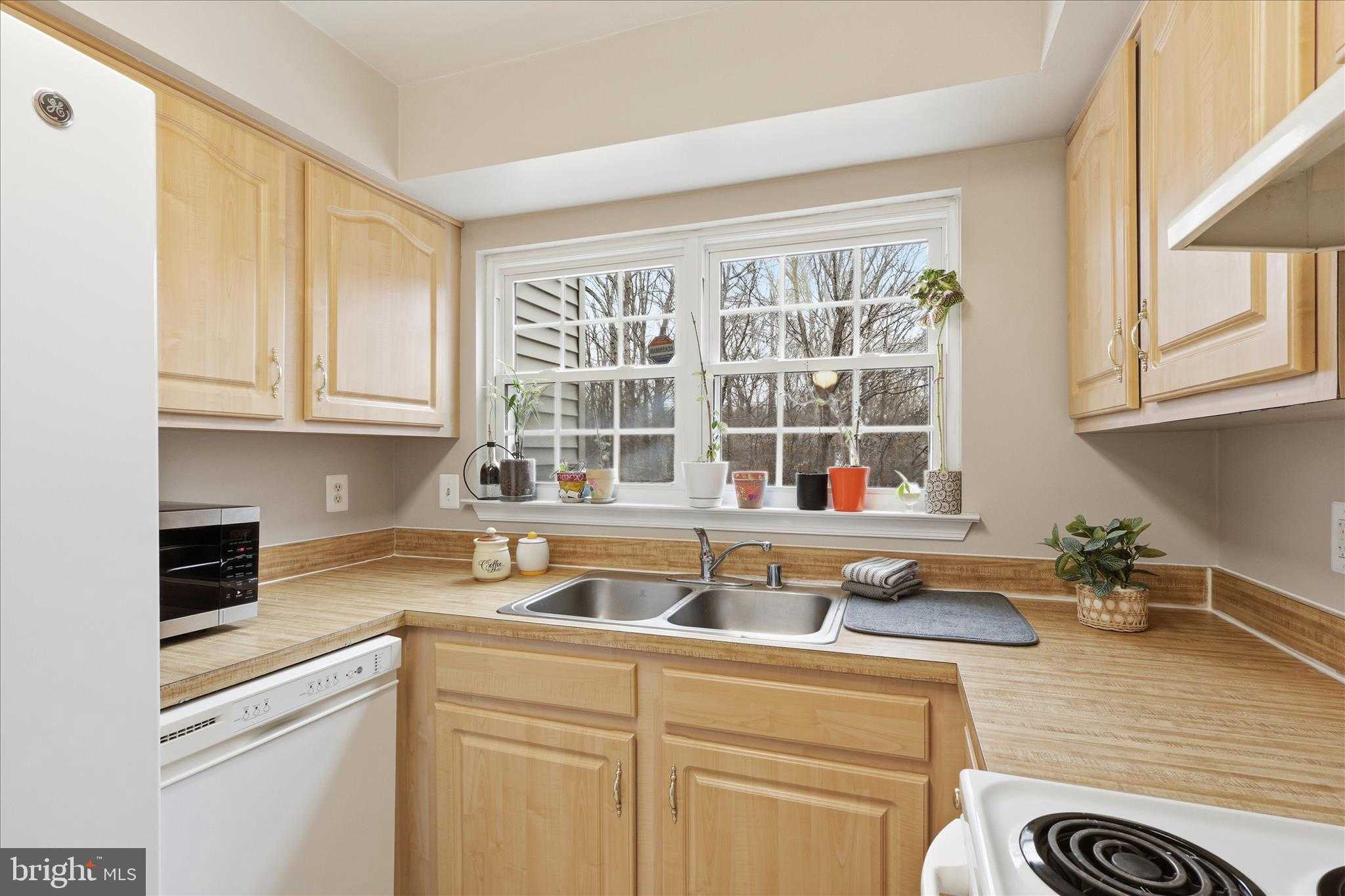 12161 Chaucer Ln photo 15